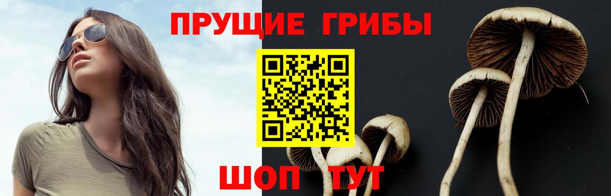 Галлюциногенные грибы мицелий  Вход с VPN  Псилоцибиновые грибы Cubensis  Ангарск 